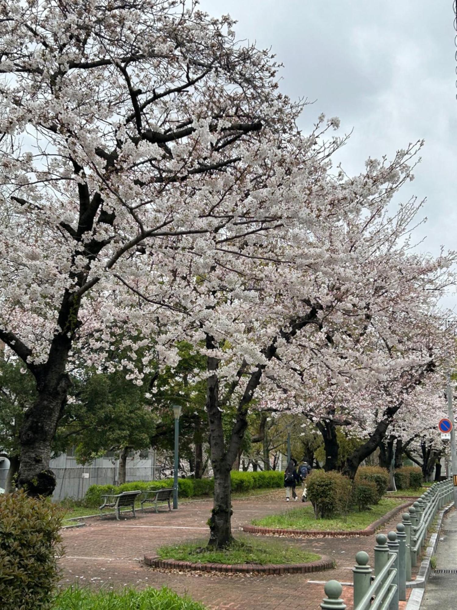 Noah Grande (Adults Only) Hotel Osaka Luaran gambar