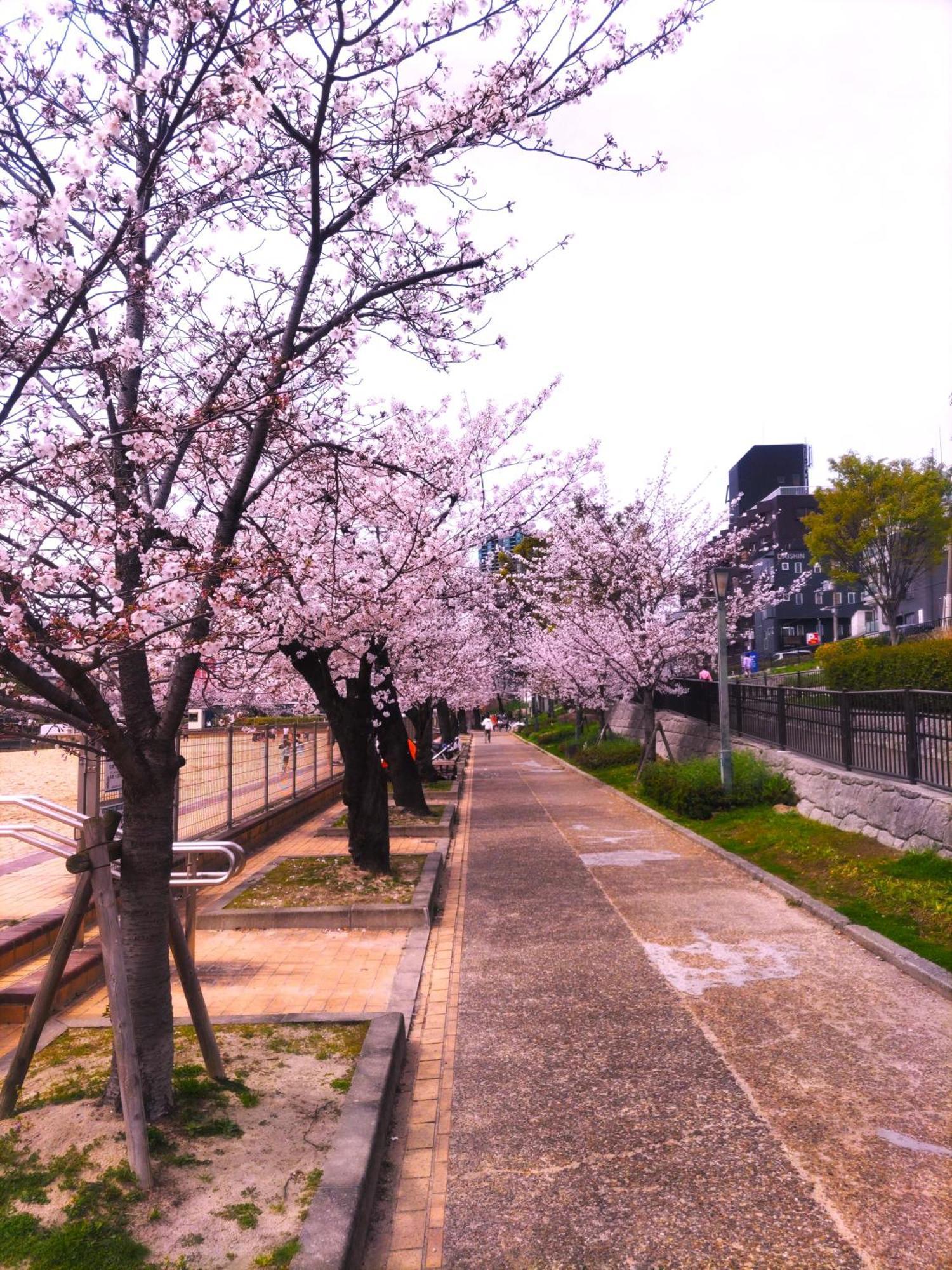 Noah Grande (Adults Only) Hotel Osaka Luaran gambar